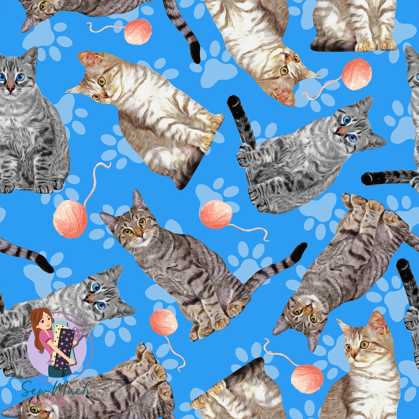 Tabby | Pre-Order |