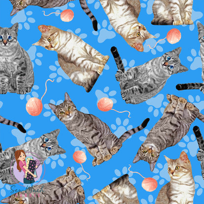 Tabby | Pre-Order |