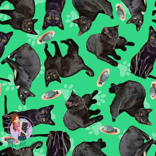 Black Cat | Pre-Order |