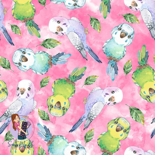 Budgie (PINK) | Pre-Order |