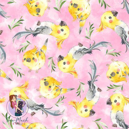 Cockatiel (PINK) | Pre-Order |