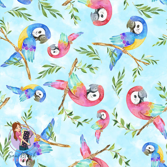 Macaw (BLUE) | Pre-Order |
