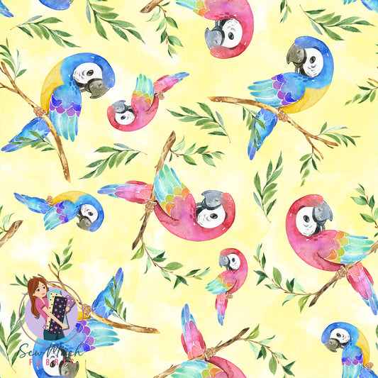 Macaw (YELLOW) | Pre-Order |