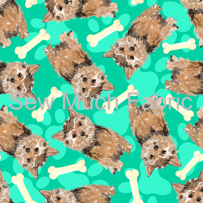 Norfolk Terrier | Woven | RETAIL | Average Scale